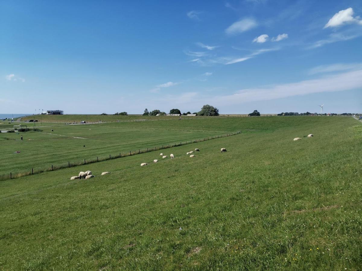 Fewo Urbaniak Tossens Lägenhet Butjadingen Exteriör bild